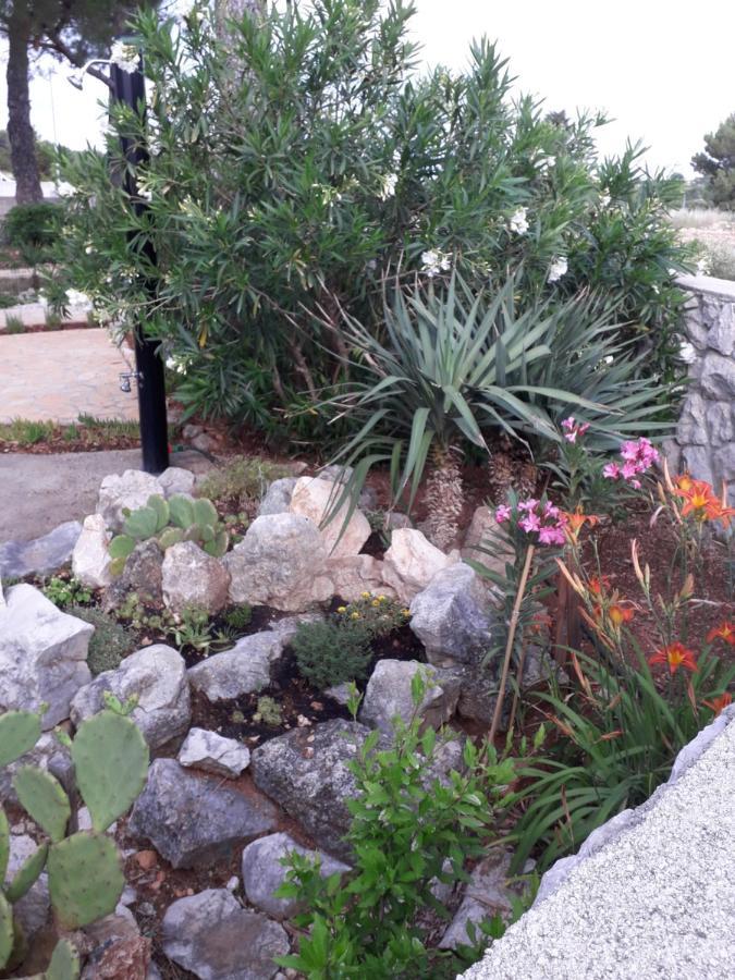 Holiday Home Novalja Luaran gambar